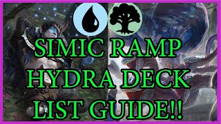 Simic Hydra Ramp Ranked Deck Guide Throne of Eldraine Standard Deck Guide MTG ARENA [upl. by Stoat487]