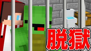 部屋に閉じ込められた！【マイクラ脱獄】 [upl. by Eggett]