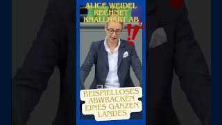 💥💥 ALICE WEIDEL rechnet knallhart ab [upl. by Danika]