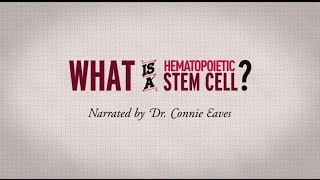 What is a hematopoietic stem cell Narrated by Dr Connie Eaves [upl. by Kit]