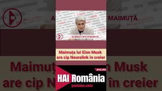 Maimuța lui Elon Musk are cip Neuralink în creier [upl. by Penman]