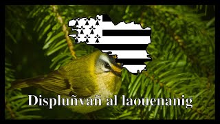 Displuñvañ al laouenanig [upl. by Antonina]