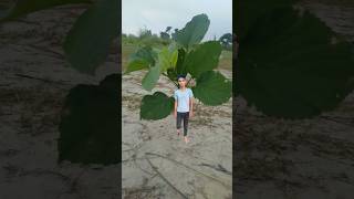 Creative photography 💡😱 shorts trending viral [upl. by Lapham238]