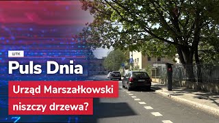 Zniszczone drzewa w centrum Poznania Jest kontrola inwestycji Urzędu Marszałkowskiego [upl. by Hicks]