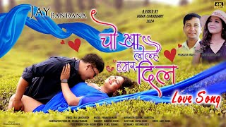 CHORYA LELHAI HAMAR DIL Annu Chaudhary Prakash Majhi  FtJay Chy amp Bandhana  New Tharu Song 2024 [upl. by Sakmar]