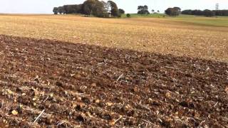 MZURI Drill Planting Wheat [upl. by Haze545]