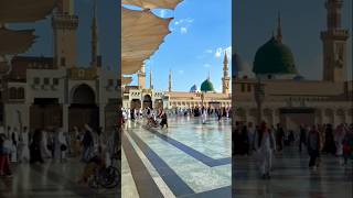 Hara Gumbad Jo Dekhoge beautiful naat [upl. by Valaree331]