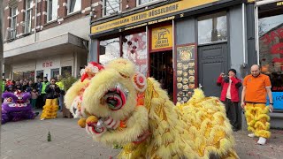 Lion Dance Chinese New Year Rotterdam 2024 Takumi [upl. by Temp]