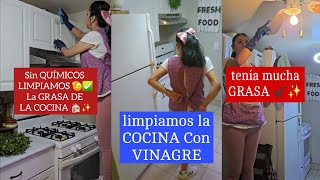 Sin QUIMICOS LIMPIAMOS la GRASA de la COCINA LIMPIEZA DE LA COCINA CON VINAGRE TIPS DE LIMPIEZA [upl. by Troc]