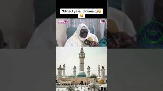 Ndigeul djib na mouride yi😍❤️kebetu wurustv [upl. by Ahsiekrats836]