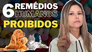 6 Remédios humanos proibidos para os pets Remédio que cachorro não pode tomar o 6 é de surpreender [upl. by Ylekalb703]