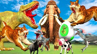 3 Giant Tiger Vs 2 Velociraptor Steal TRex Dino Egg Chase Cow Cartoon Buffalo Save Woolly Mammoth [upl. by English]