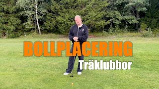 Bollplacering  Träklubbor… [upl. by Sucirdor]