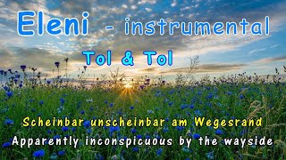 Eleni instrumental  Tol amp Tol Scheinbar unscheinbar am Wegesrand [upl. by Pontus]