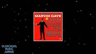 Marvin Gaye  Get My Hands On Some Lovin [upl. by Laverna945]