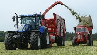 New Holland T7270 Working w Kongskilde ES1060 Forage Harvester Cutting Grass  Danish Agri [upl. by Fritzsche]