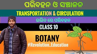 Transportation and Circulation in plants  Class 10 botany chapter3 in odia [upl. by Anyd771]