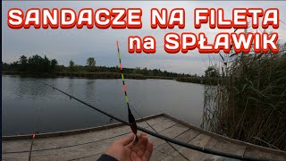 Sandacze na Fileta z ryby Metoda Spławikowa [upl. by Aened]