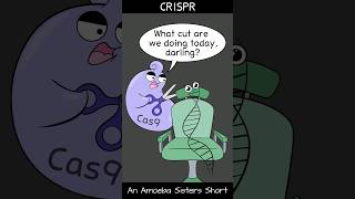 CRISPR  Amoeba Sisters Shorts biology biotechnology science [upl. by Gamali]