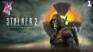 STALKER 2 Heart of Chornobyl Прохождение Без комментариев  Часть 1 [upl. by Annahael]