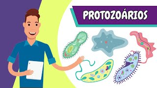 Resumo  PROTOZOÁRIOS [upl. by Khalsa]