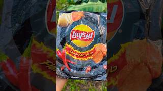 Salt amp Vinegar And Flamin Hot Lays [upl. by Mairb622]