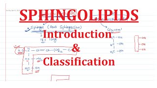 21 Sphingolipids Introduction amp Classification [upl. by Simpson]