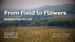 From Field to Flowers ReNaturing Pen Hill [upl. by Ogawa]