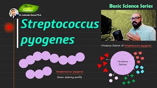 Streptococcus pyogenes  Bacitracin disk test  Microbiology  Bacteriology  Basic Science Series [upl. by Moody]