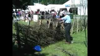 Hedge Making  Brecon style 2012 Royal Welsh Show [upl. by Thessa820]