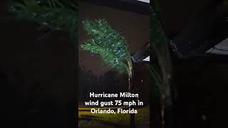 Hurricane Milton wind gusts up to 75 mph in Orlando Florida [upl. by Christa781]