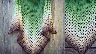 Rainforest Shawl  One Skein Crochet Triangle Shawl [upl. by Ztnarf]