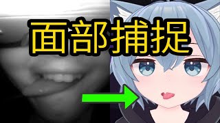 Quest和PICO也能面部捕捉玩VRChat了？ [upl. by Dann]