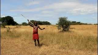 Cours de chasse Masai [upl. by Socher]