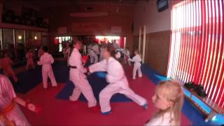 Karate Kumite Kata Summer Project 2015 Puderbach [upl. by Eaj]