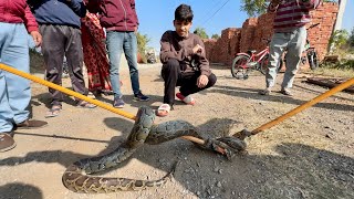 Etna Bada Snake 🐍 Pakad Liya 😲 [upl. by Annabella]