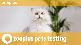 Denver  zooplus pets testing Royal Canin Hair amp Skin Care [upl. by Nace]