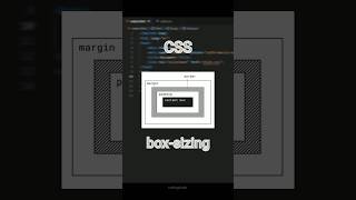 CSS borderbox Property  codingclash  coding csstricks programming [upl. by Bambie]