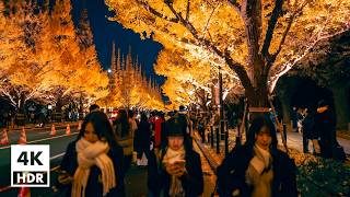 Meiji Jingu Gaien illuminated Ginkgo Avenue  Binaural Japanese Sounds 4K HDR【11302024】 [upl. by Frodina769]