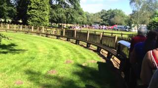 HD Worden Park Miniature Railway part 1 21st June 2014 [upl. by Ahseile]