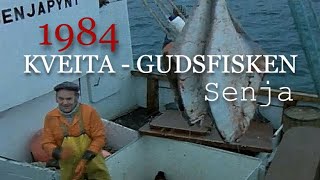 Kveita  Gudsfisken Kveitefiske vest av Senja 1984 [upl. by Norean]