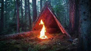 Building Bushcraft Survival Shelter in the Woods Solo Camping [upl. by Dam]