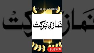 Ortho ki nmaz short video  viral video  viral song  hadees Mubarak [upl. by Svoboda235]