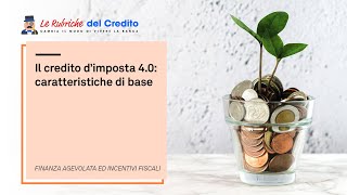 Il credito dimposta 40 caratteristiche di base [upl. by Ginelle897]