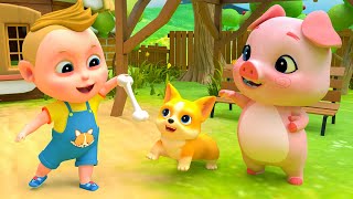 Hide and Seek Song  Playground Old MacDonalds Compilation  More Kids Songs amp Nursery Rhymes [upl. by Dylan]