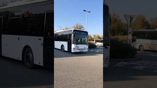 Autobusy Iveco crossway LE 12M a SOR CN123 [upl. by Flavio]