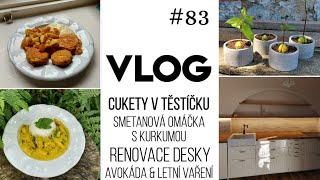 VLOG 83  letní vaření a renovace desky 💪 [upl. by Licec]