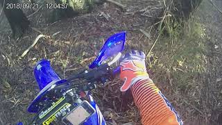 toolangi dirt bike [upl. by Esmeralda]