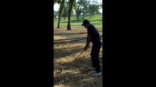 Phil hit driver from where 🤯 [upl. by Aeriel329]