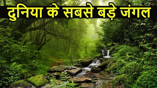 दुनिया के सबसे बड़े जंगल  Top 10 Largest and DANGEROUS Forest in World [upl. by Devinne]